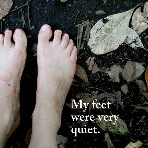 A memory of walking barefoot on Fitzroy Island.