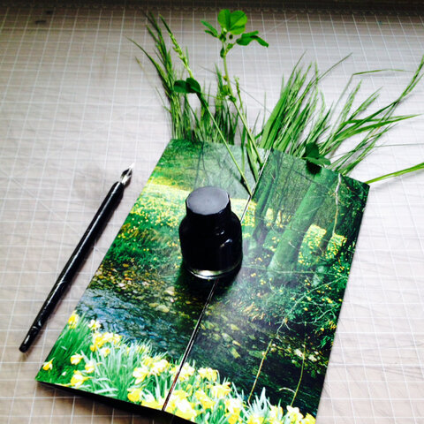 I love everything about drawing with ink and a brush. The feel of the movement, the expressive imperfect line work. *Sigh*