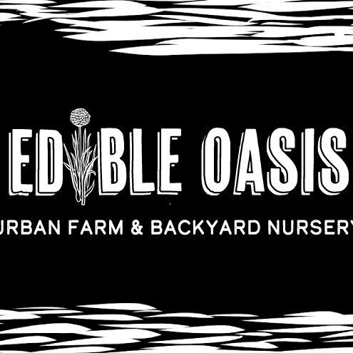 Illustrated mock up background for Edible Oasis