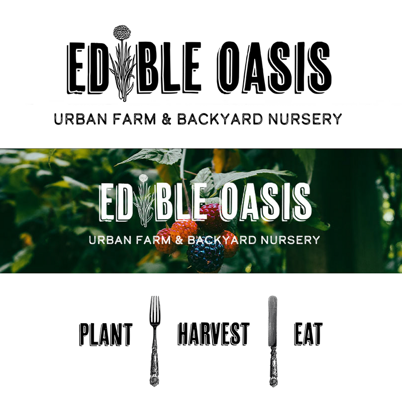 Logo development for Edible Oasis, Urban Farm & Backyard Nursery